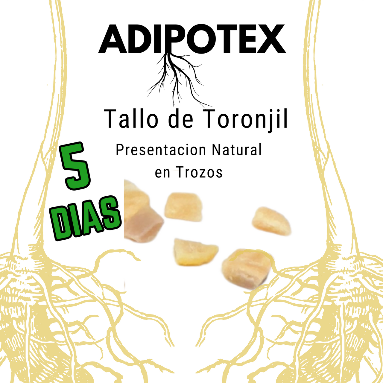 ADIPOTEX Tallo de Toronjil Raiz Trial Size - 5 Day